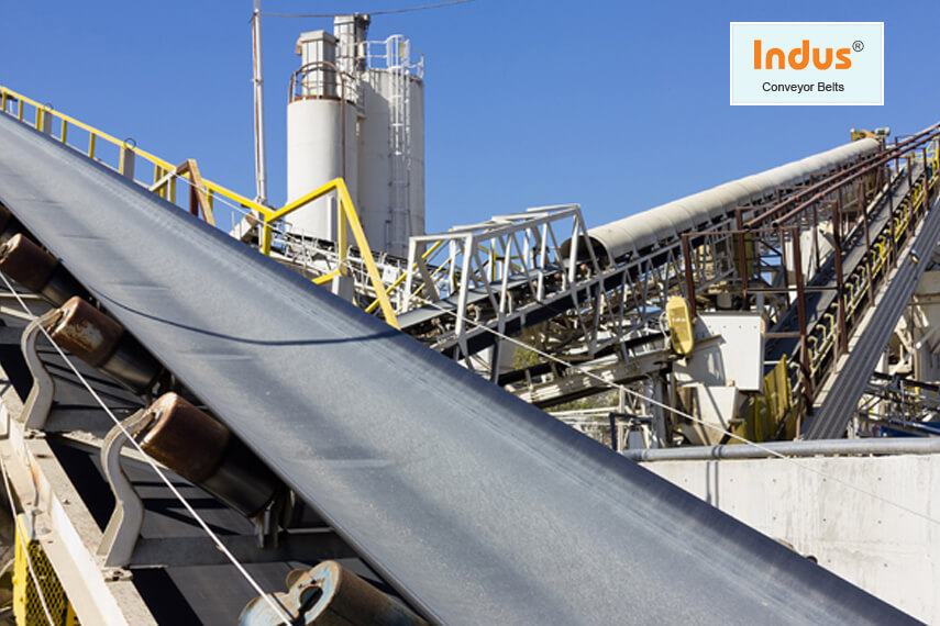 sunny sales corp conveyor belt